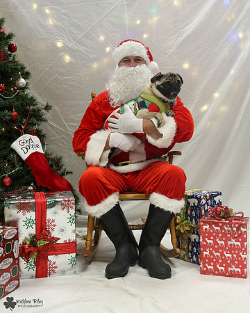 Max the Pug Pose Your Pet with Santa