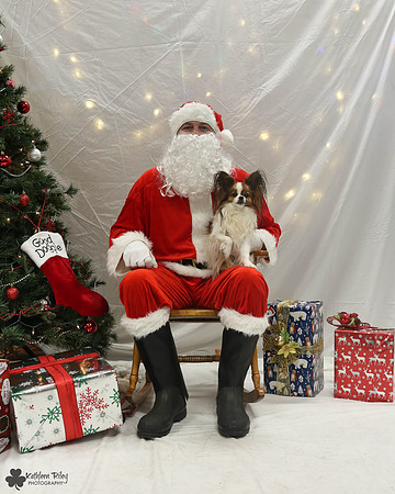 Jaxx the Papillion Pose Your Pet with Santa 2017