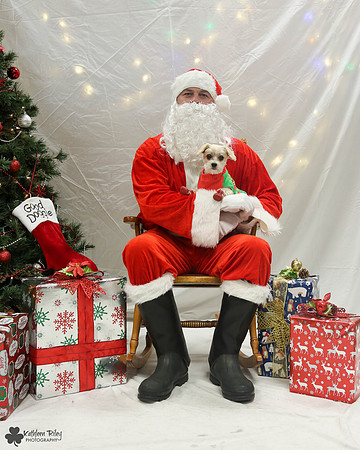 Morkey the Morikie Pose Your Pet with Santa