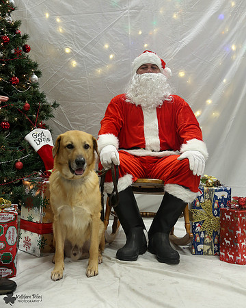 Minnow the Chinook Pose Your Pet with Santa 2017