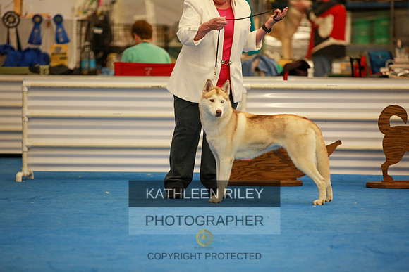 2022-KathleenRileyPhotography-6223