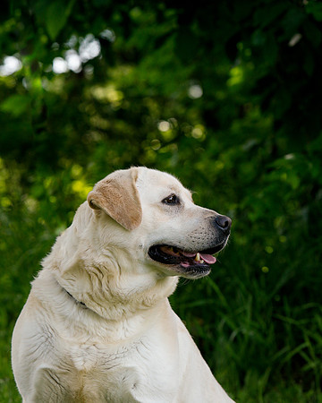 2021-KathleenRileyPhotography-0028