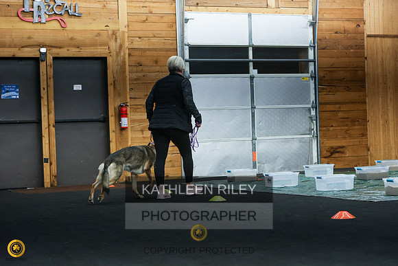 1N5A1941
