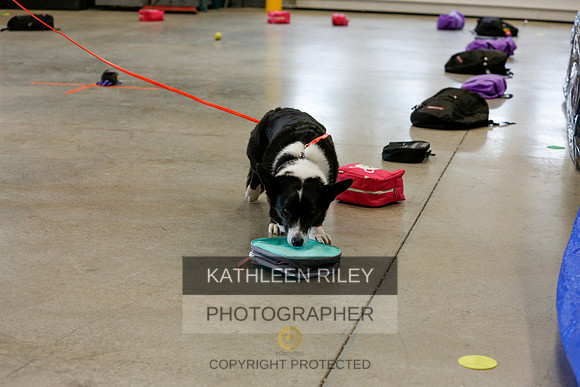 2022-KathleenRileyPhotography-5173