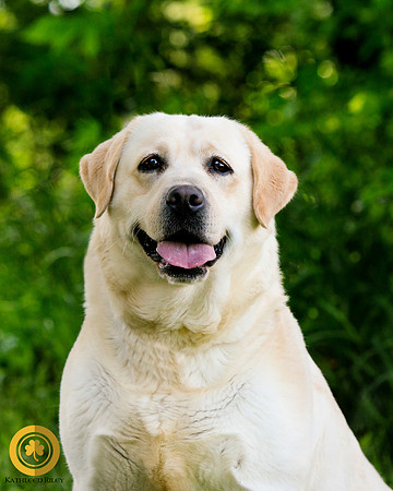 2021-KathleenRileyPhotography-0040-logo