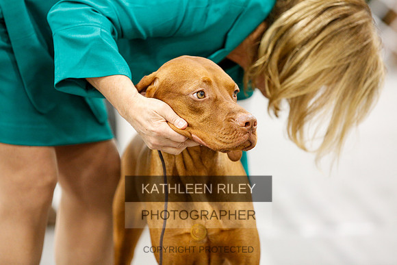 2022-KathleenRileyPhotography-1657