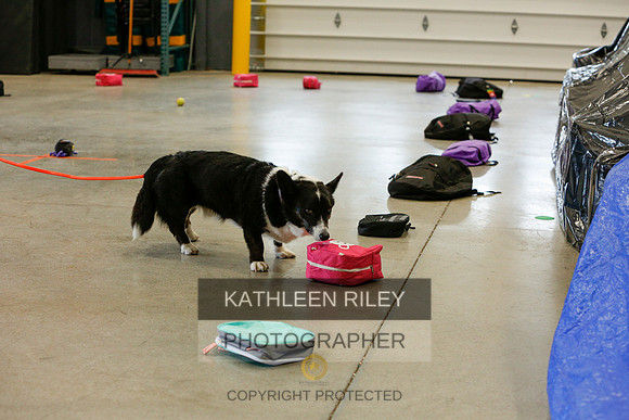 2022-KathleenRileyPhotography-5172