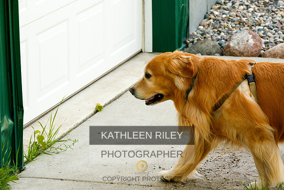 2022-KathleenRileyPhotography-0244