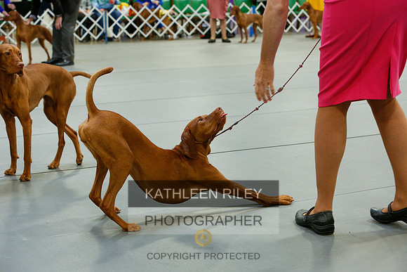 2022-KathleenRileyPhotography-3848
