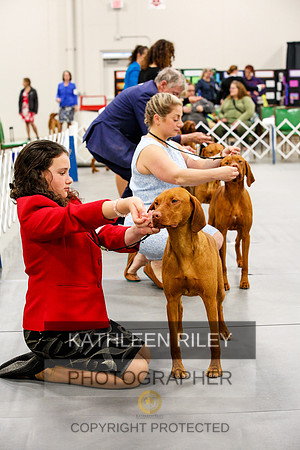 2022-KathleenRileyPhotography-1523