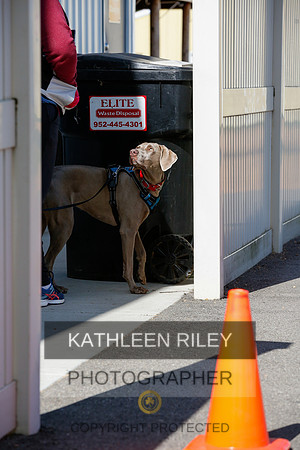 2022-KathleenRileyPhotography-3946