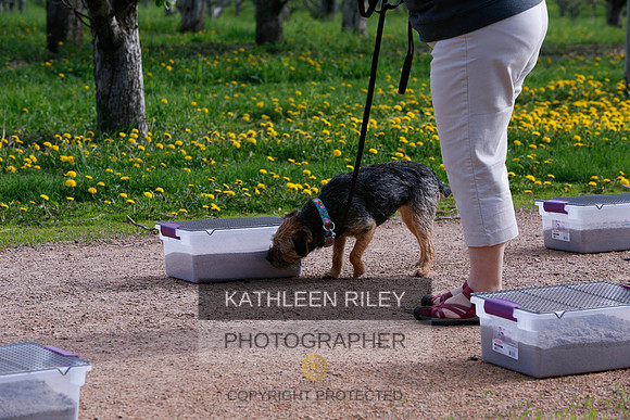2022-KathleenRileyPhotography-8335