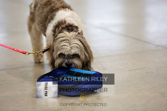 2022-KathleenRileyPhotography-7278