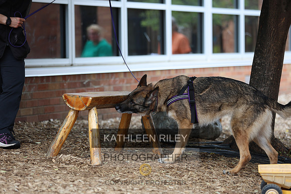 SJLT1468