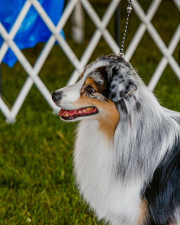 2021-KathleenRileyPhotography-2127