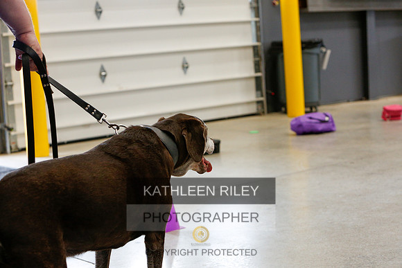 2022-KathleenRileyPhotography-5231