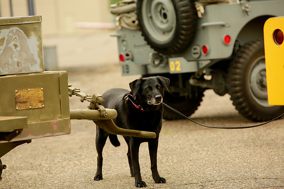 2021-KathleenRileyPhotography-8406
