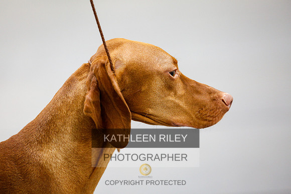2022-KathleenRileyPhotography-2222