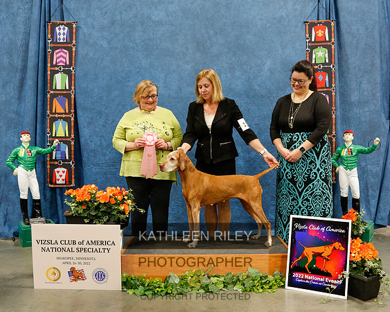 2022-KathleenRileyPhotography-2102