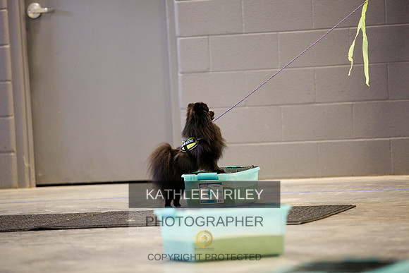 2022-KathleenRileyPhotography-6094