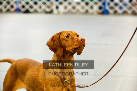 2022-KathleenRileyPhotography-9833
