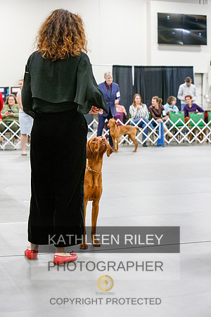 2022-KathleenRileyPhotography-6751