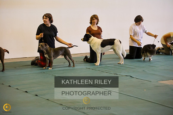 WGMC3086