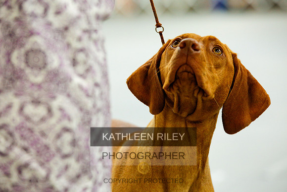 2022-KathleenRileyPhotography-9939