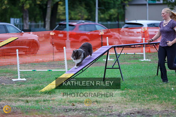 SJLT6820