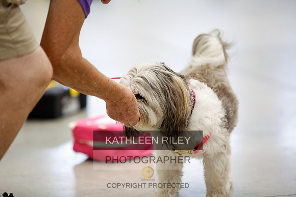 2022-KathleenRileyPhotography-7284