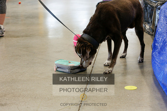 2022-KathleenRileyPhotography-5246