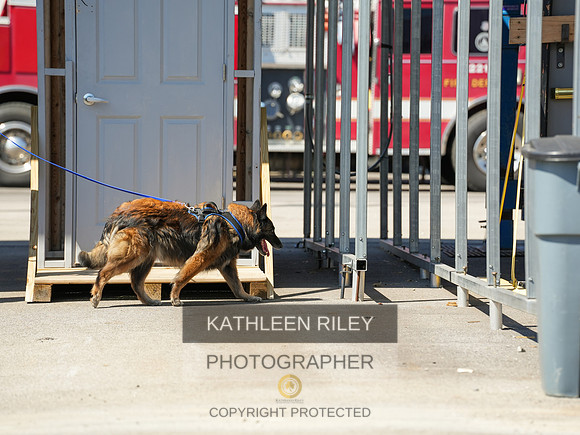 2022-KathleenRileyPhotography-04076