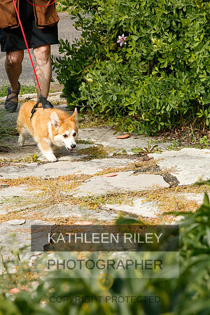 2022-KathleenRileyPhotography-9355