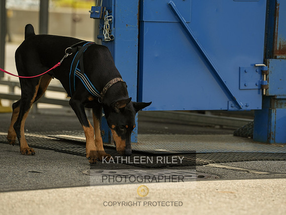2022-KathleenRileyPhotography-04364