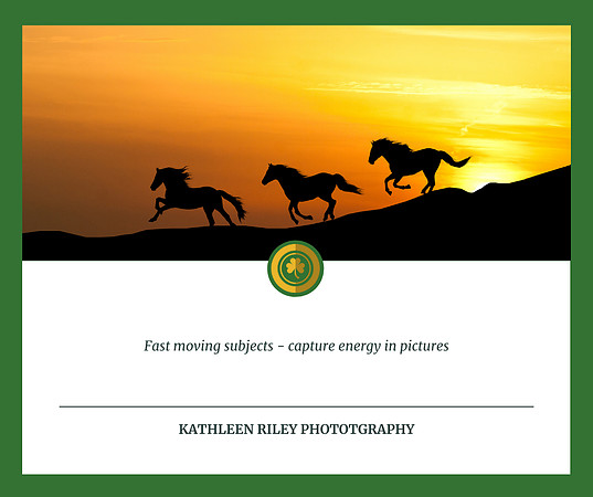 2021-Capture-Energy-in-photos
