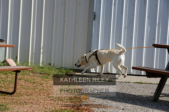 2022-KathleenRileyPhotography-9419