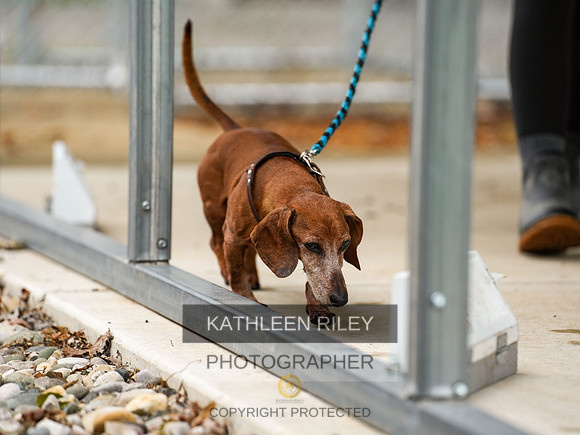 2022-KathleenRileyPhotography-07027