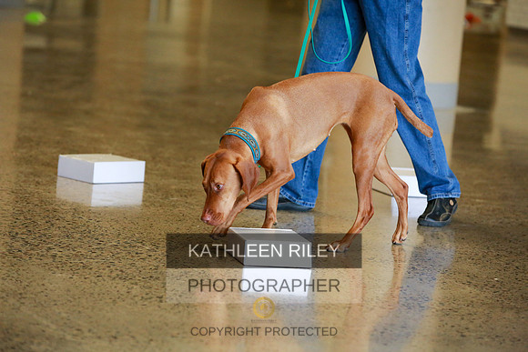 2022-KathleenRileyPhotography-7555