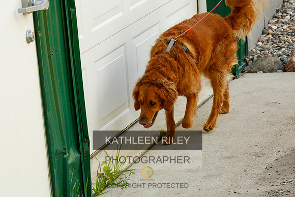 2022-KathleenRileyPhotography-0287