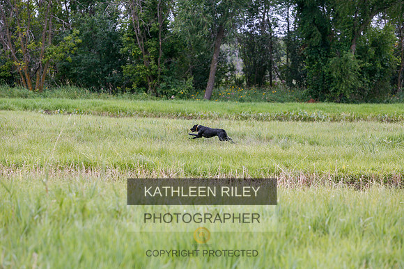 2022-KathleenRileyPhotography-3373