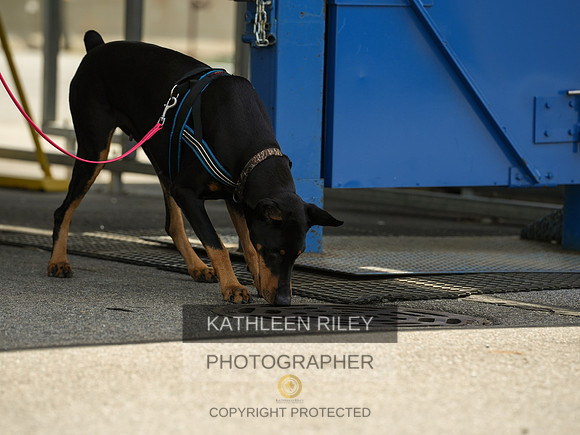 2022-KathleenRileyPhotography-04366
