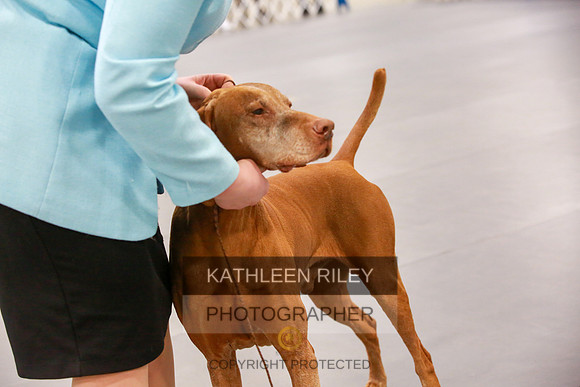 2022-KathleenRileyPhotography-7862