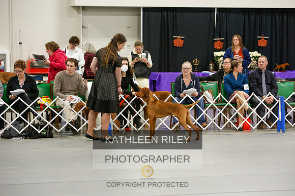 2022-KathleenRileyPhotography-5775
