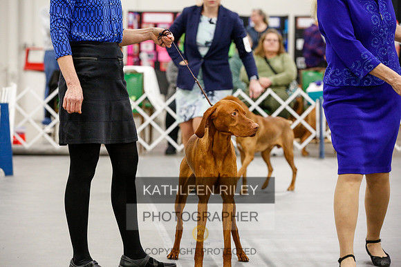 2022-KathleenRileyPhotography-1618