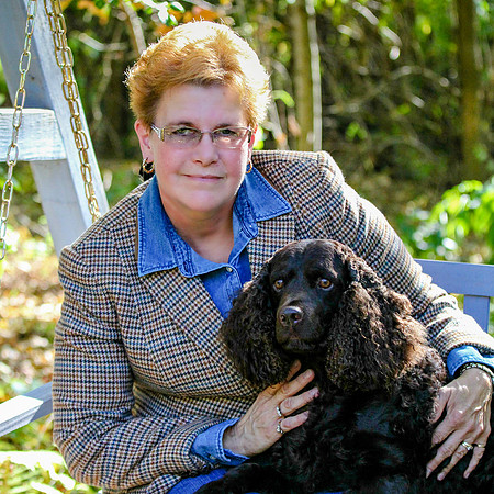 American Water Spaniel