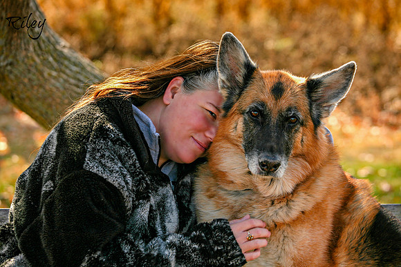 German Shepherd Dog in Elk River Minnesota