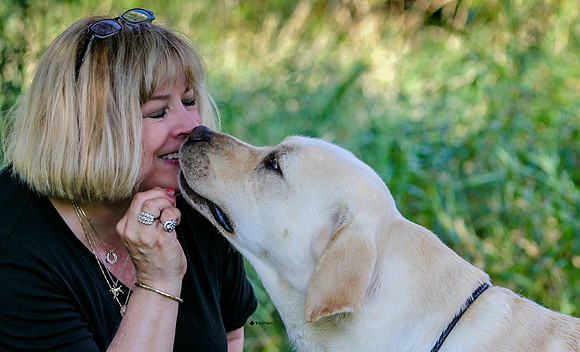 Tande Labradors