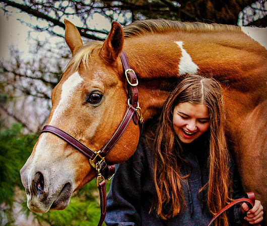 First Horse in Buffalo Minnesota