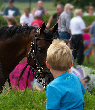 Who's watching whom? Thoroughbred racehorse checking out a young fan at Canterbury Park in Minnesota