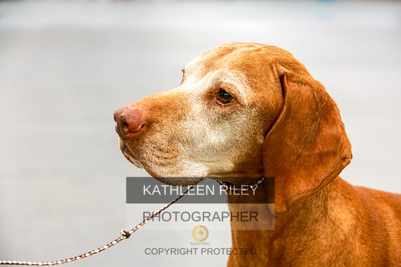 2022-KathleenRileyPhotography-8055